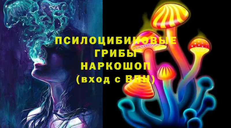 Галлюциногенные грибы Psilocybe  хочу   Краснозаводск 